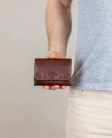 Lutz model